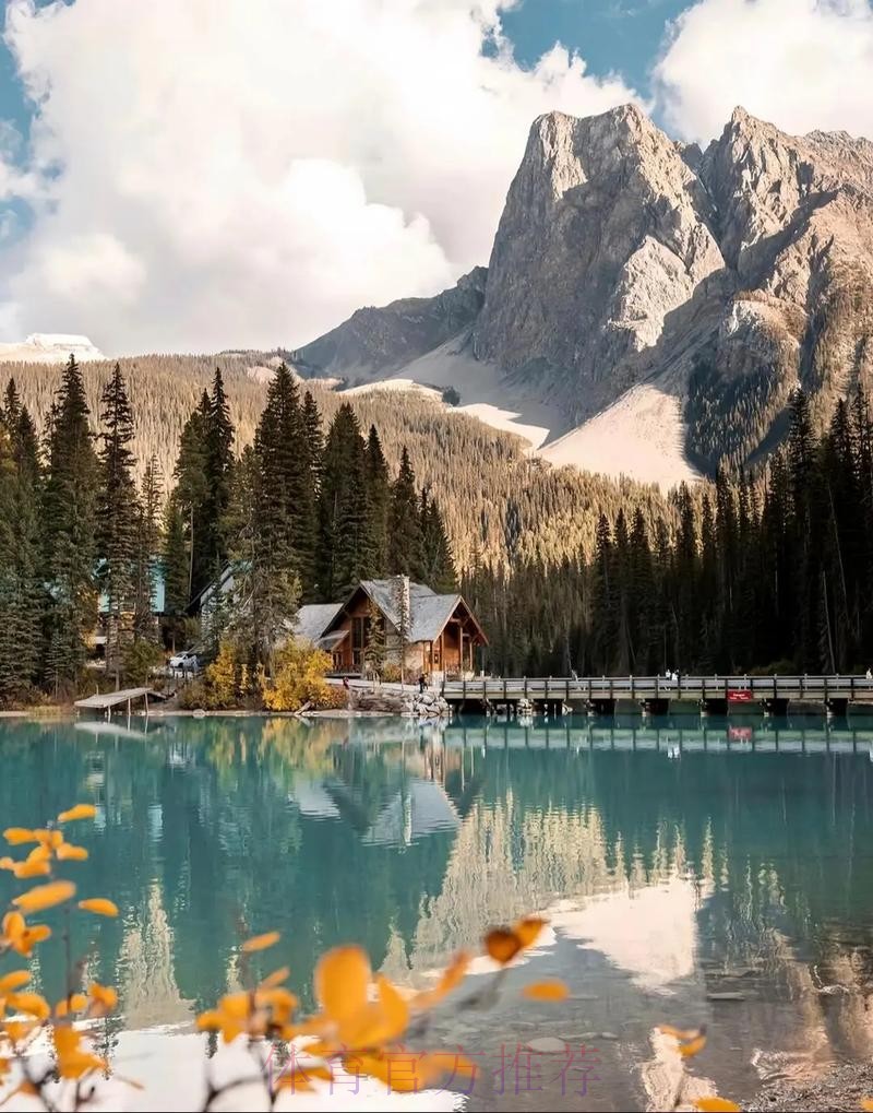 2026世界杯美加墨直播平台 2026世界杯美加墨直播平台